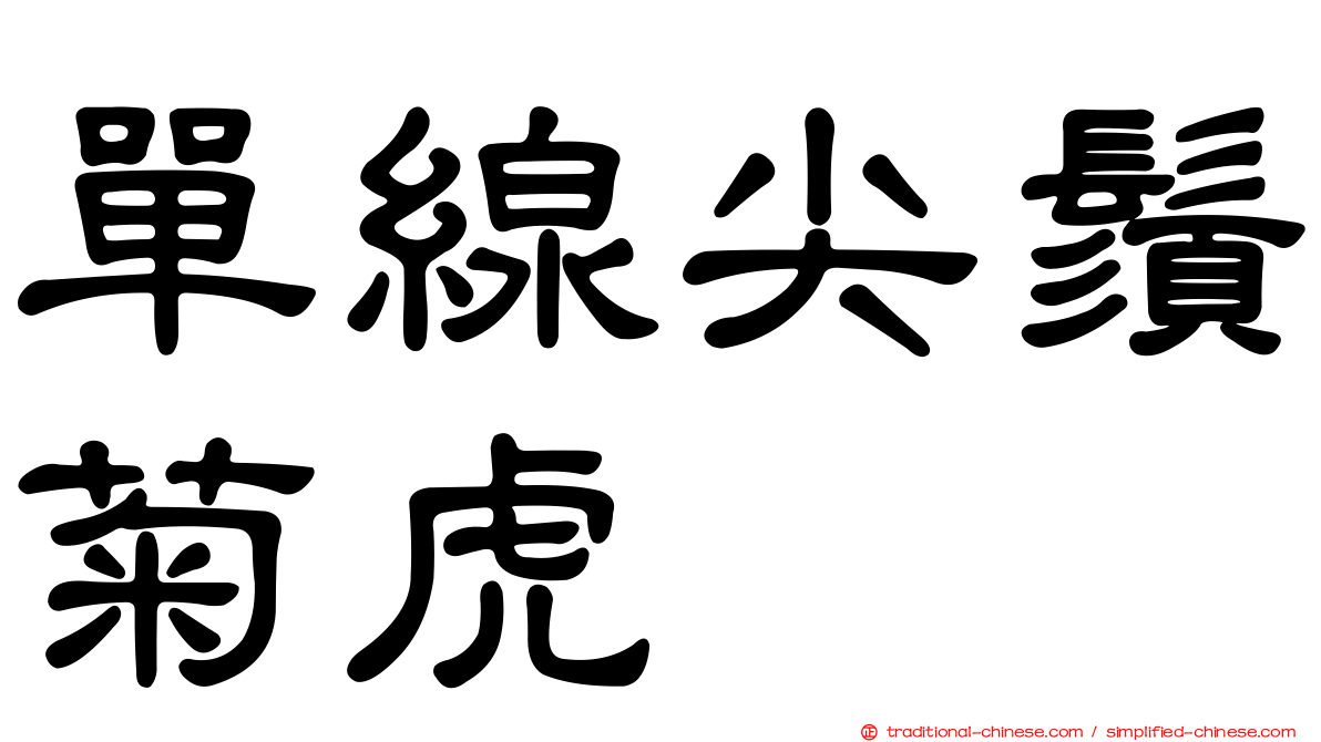 單線尖鬚菊虎