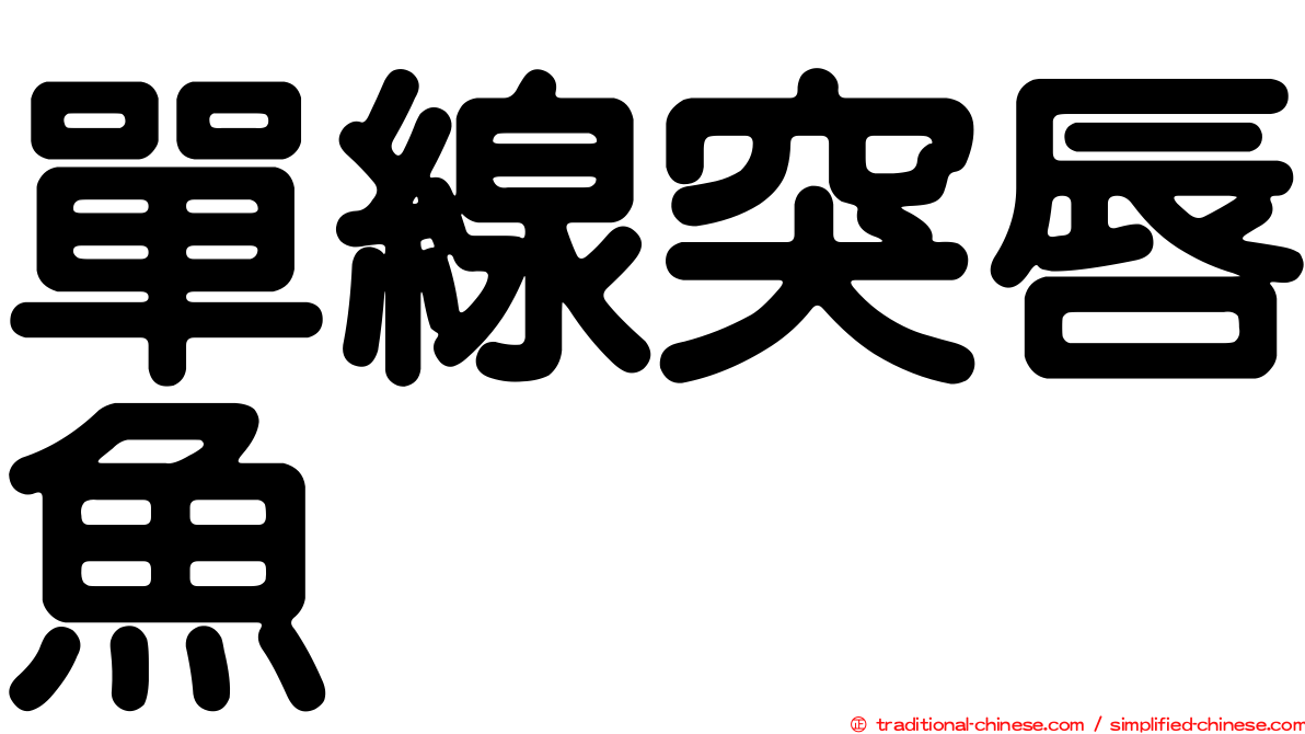 單線突唇魚