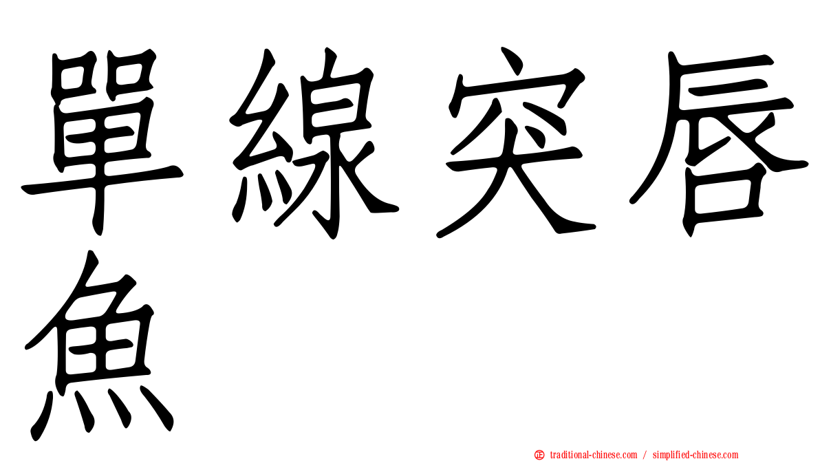 單線突唇魚