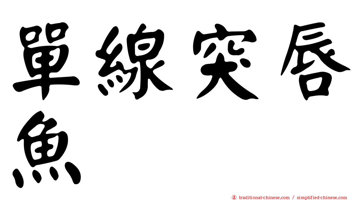 單線突唇魚