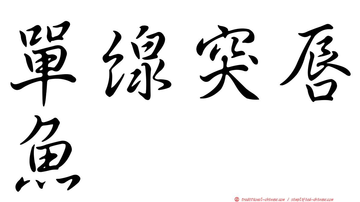 單線突唇魚