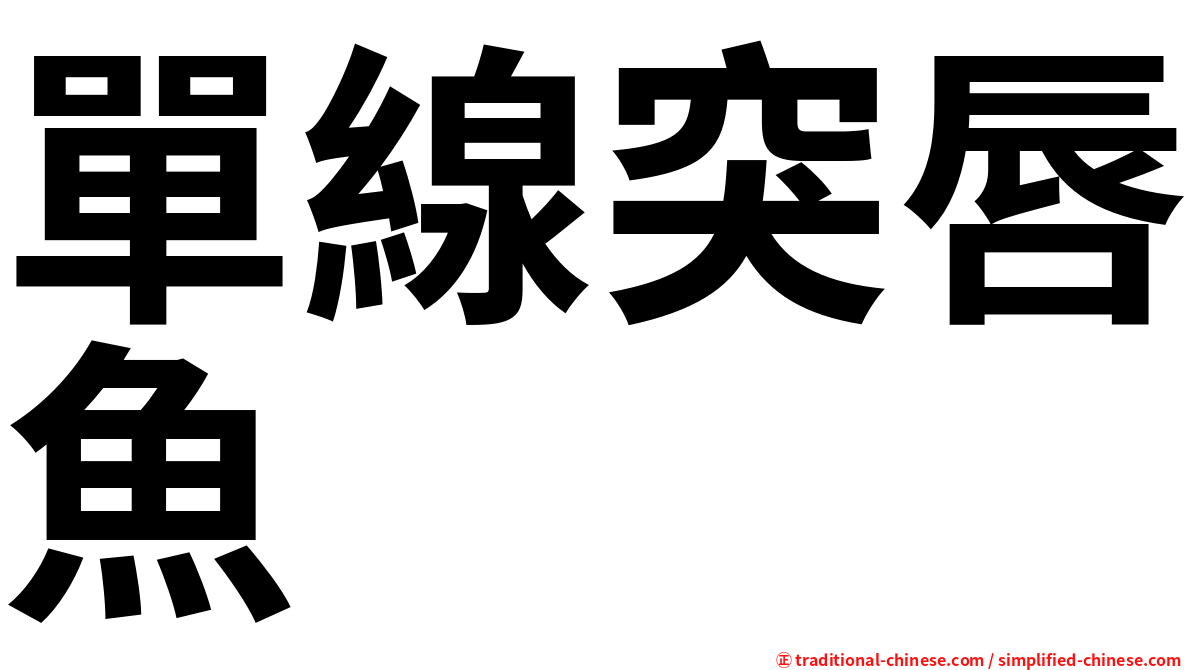 單線突唇魚