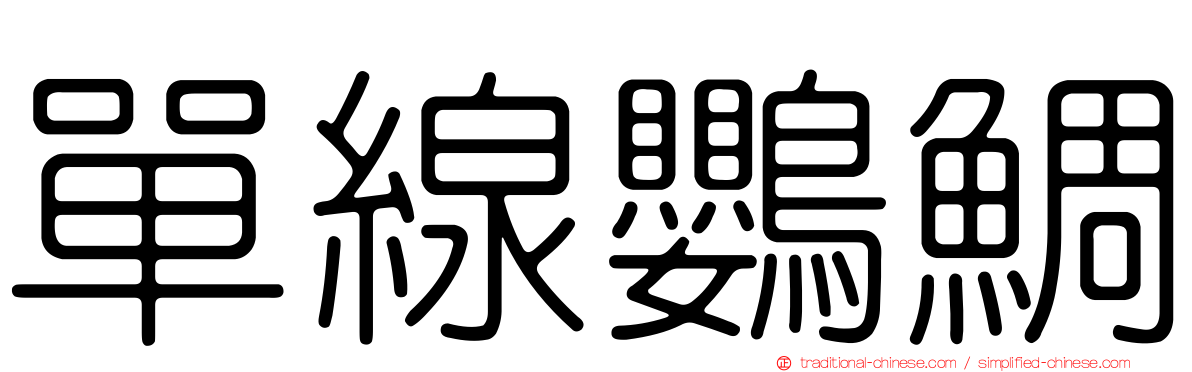 單線鸚鯛