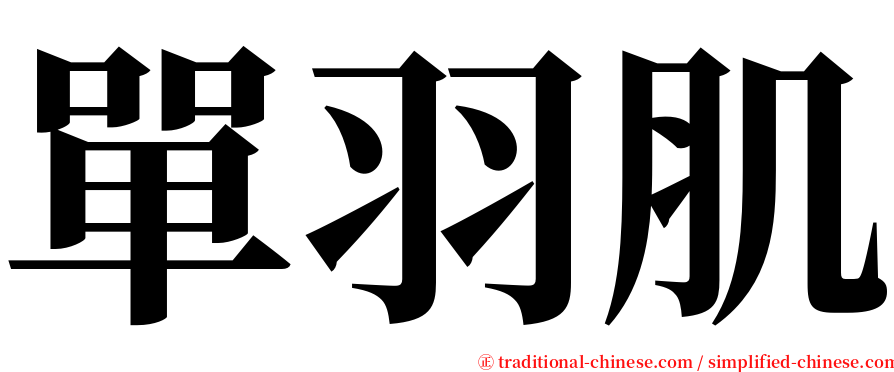 單羽肌 serif font