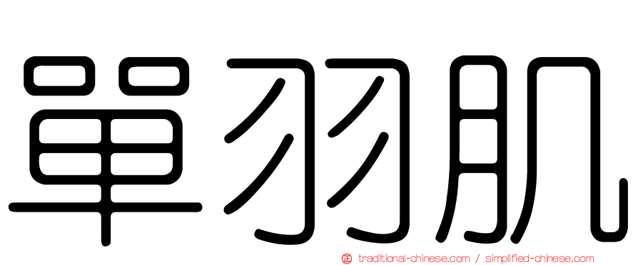 單羽肌