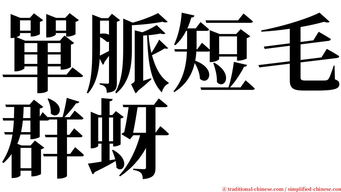 單脈短毛群蚜 serif font