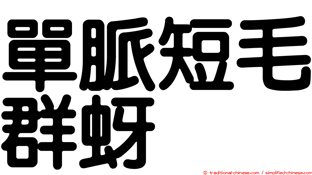 單脈短毛群蚜