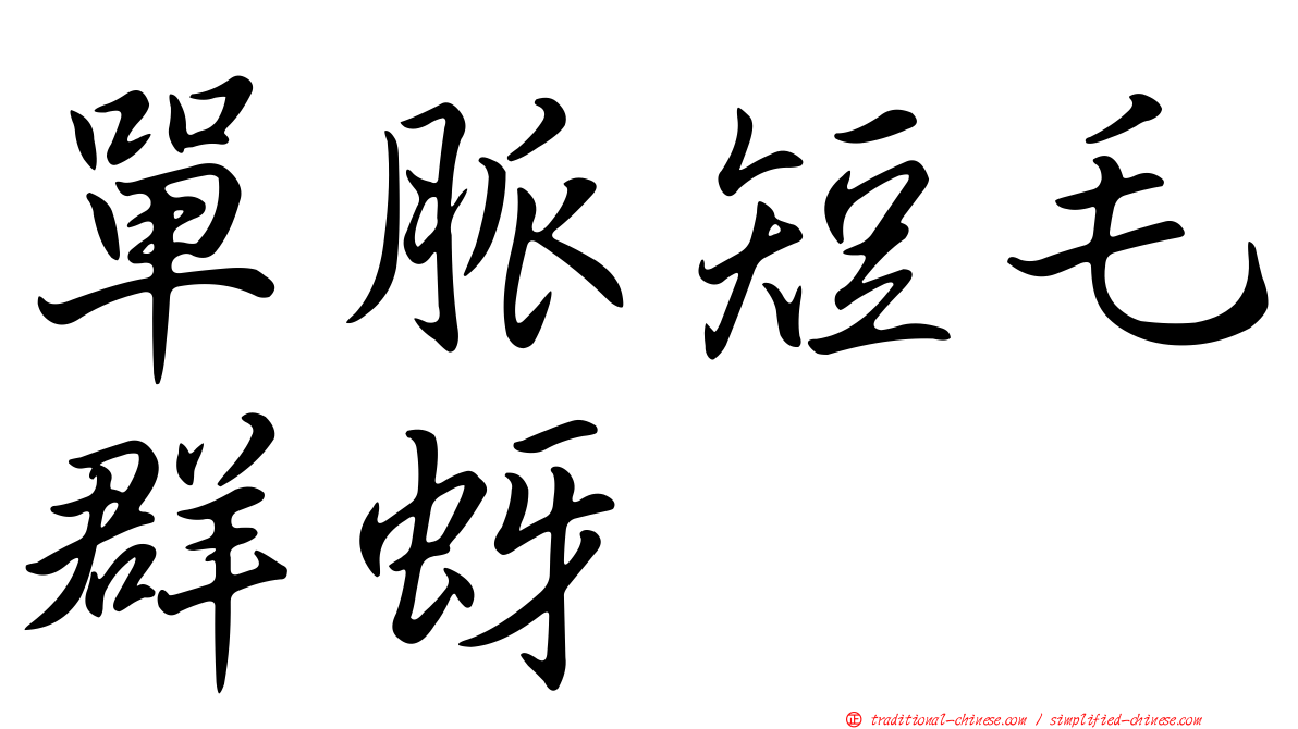 單脈短毛群蚜