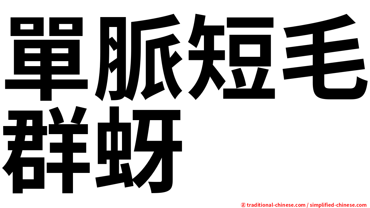 單脈短毛群蚜