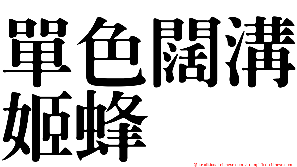 單色闊溝姬蜂