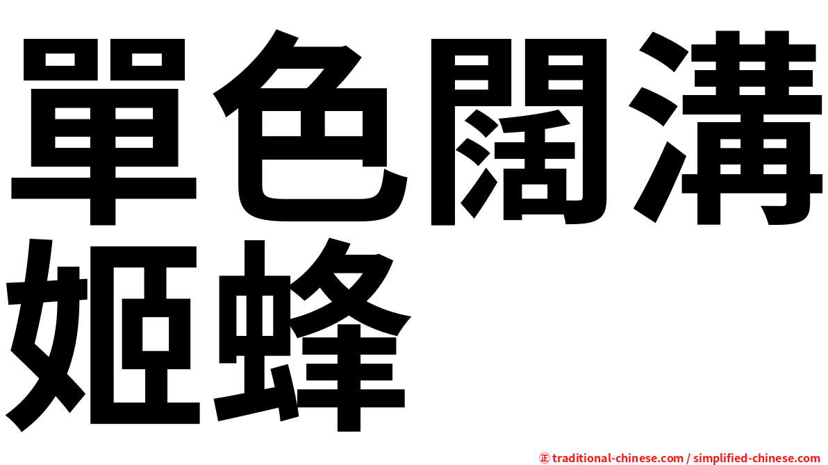 單色闊溝姬蜂