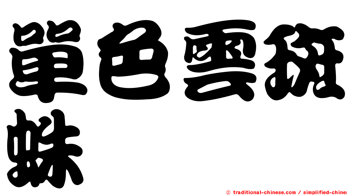 單色雲斑蛛