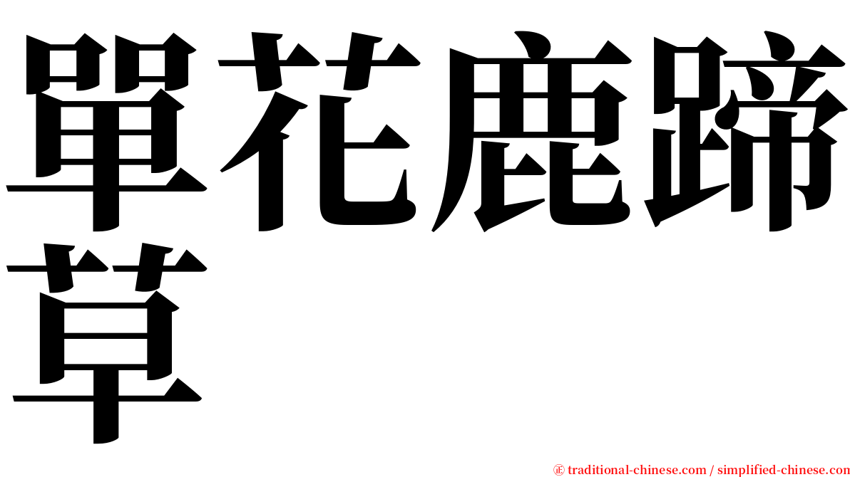 單花鹿蹄草 serif font