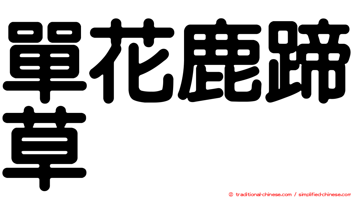 單花鹿蹄草