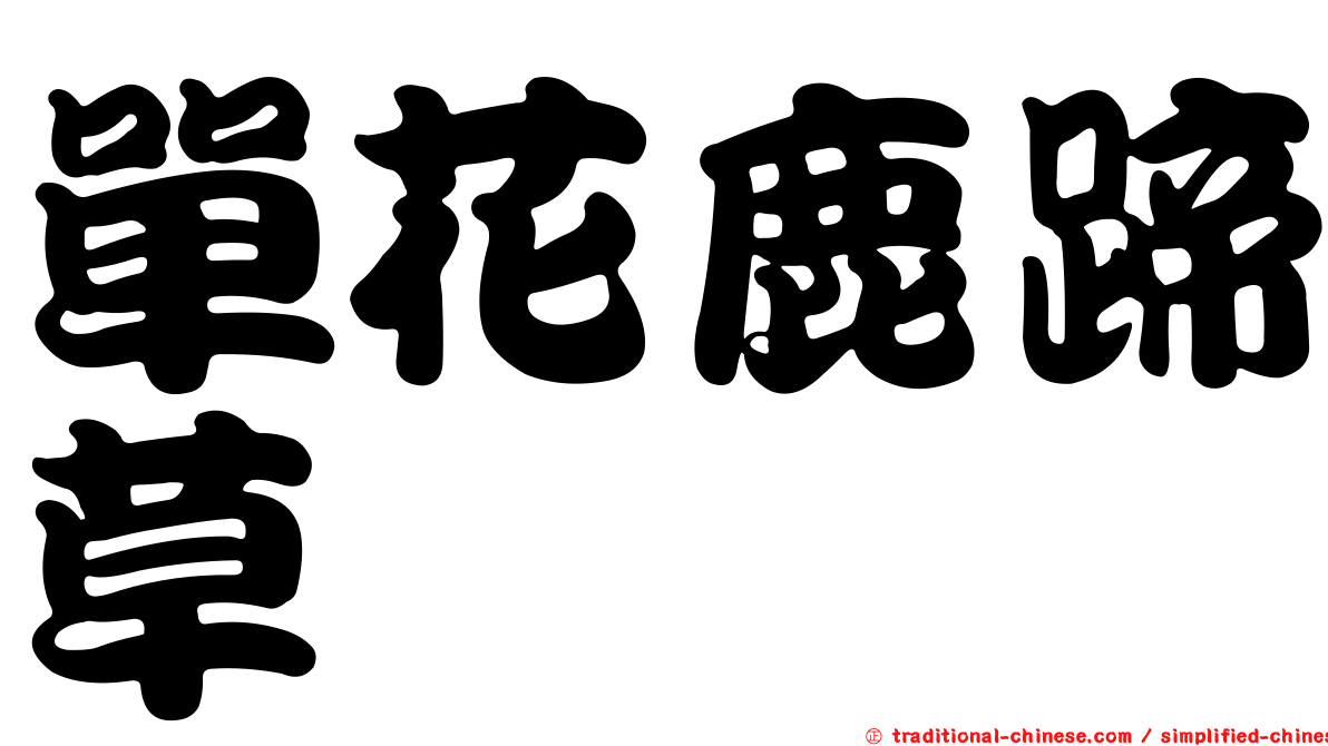 單花鹿蹄草