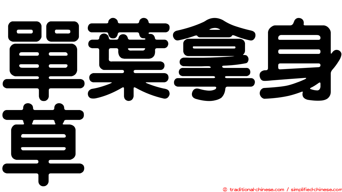 單葉拿身草