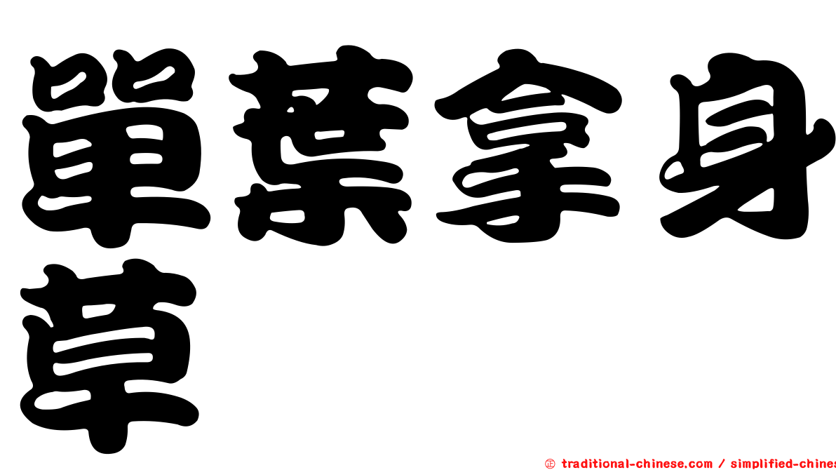 單葉拿身草
