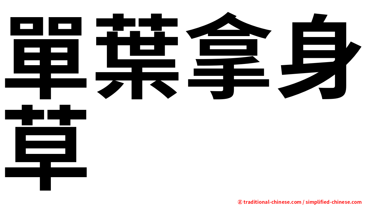 單葉拿身草
