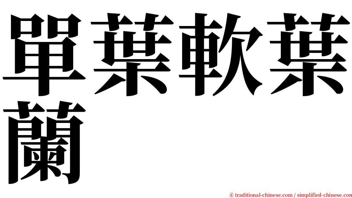 單葉軟葉蘭 serif font