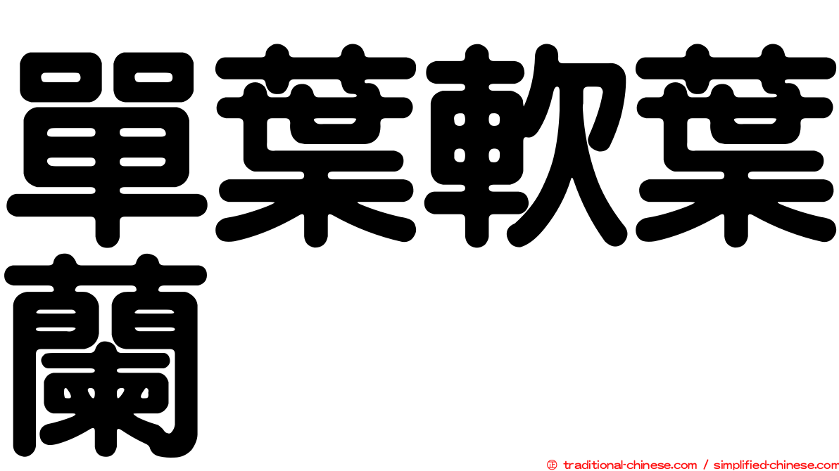單葉軟葉蘭