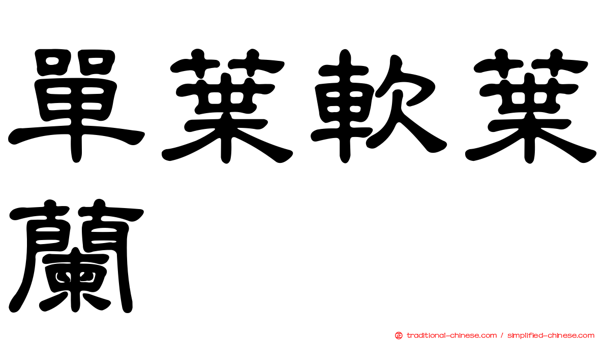單葉軟葉蘭