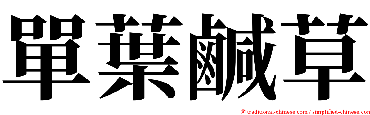 單葉鹹草 serif font