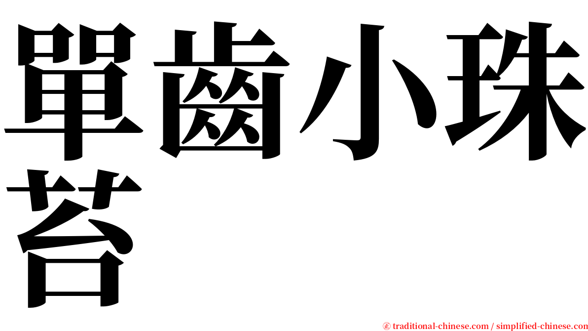 單齒小珠苔 serif font