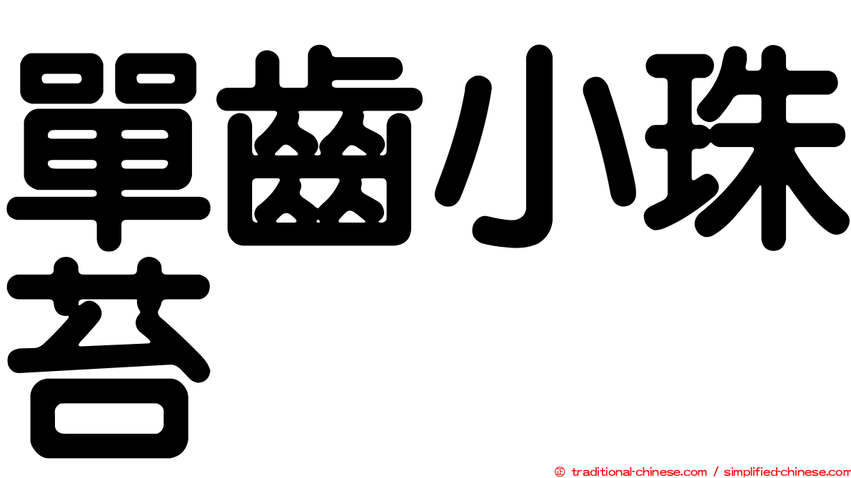 單齒小珠苔
