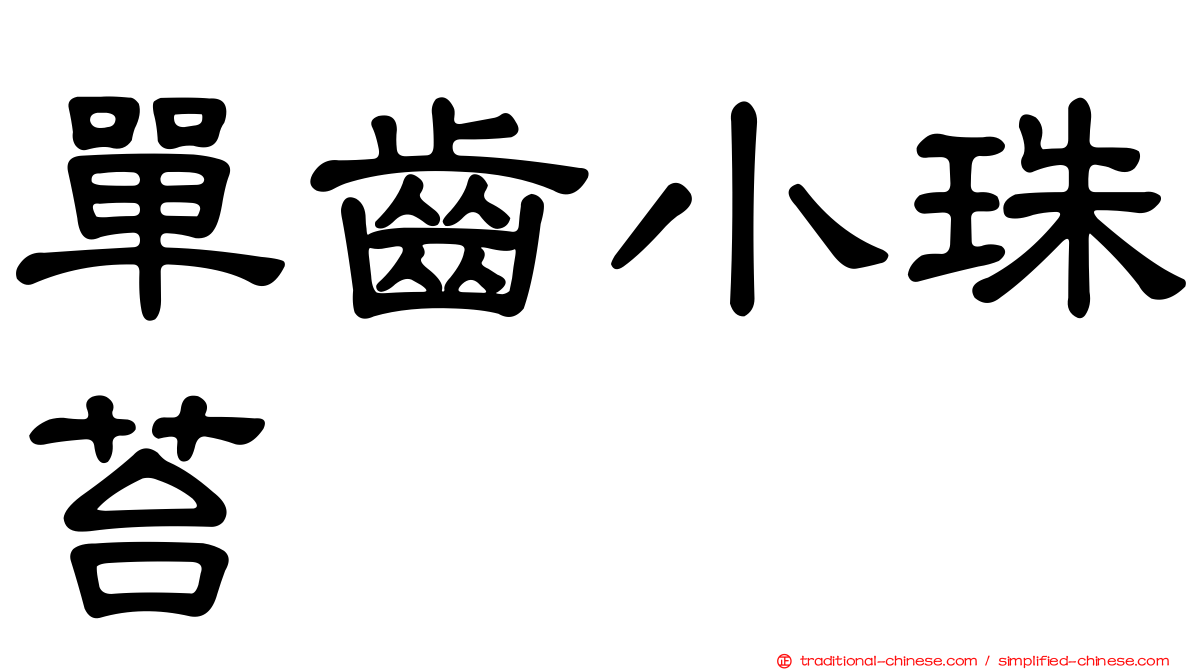 單齒小珠苔
