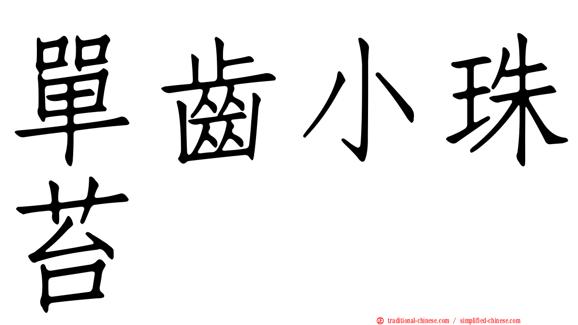 單齒小珠苔