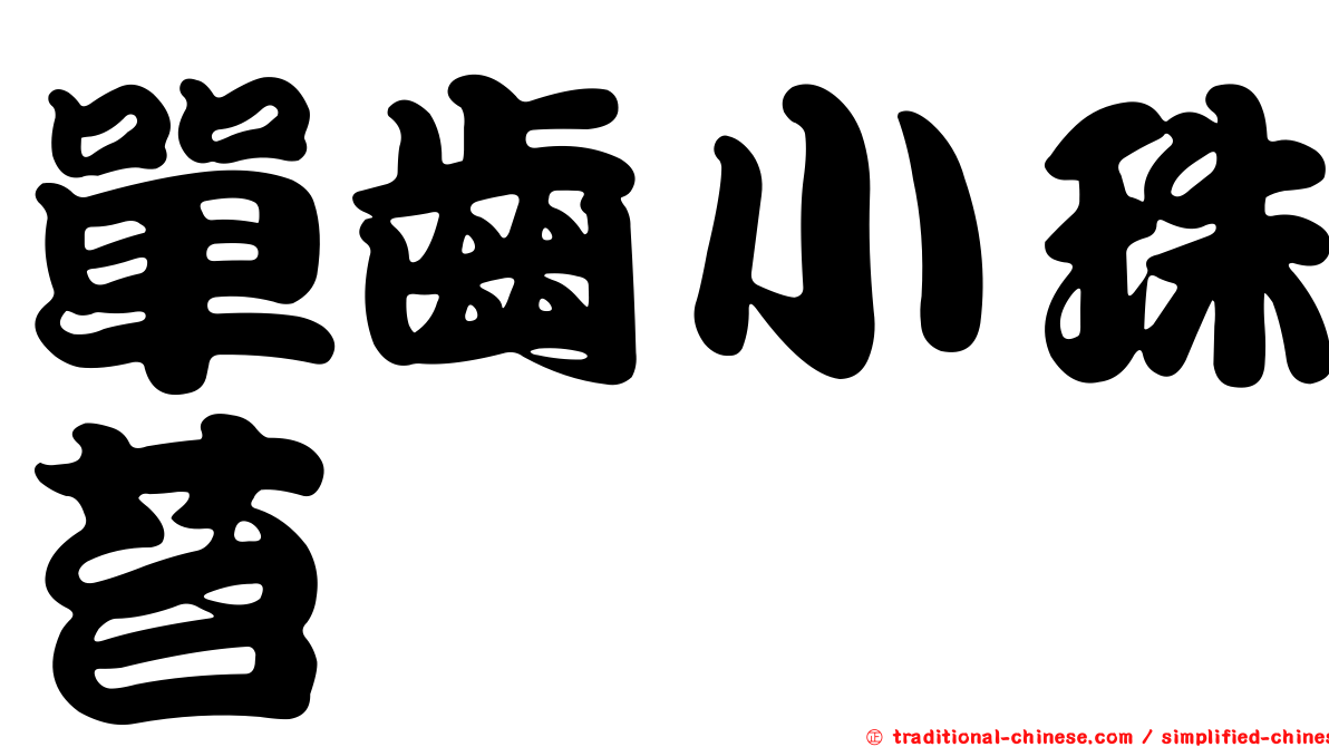 單齒小珠苔