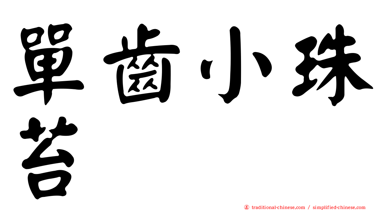 單齒小珠苔