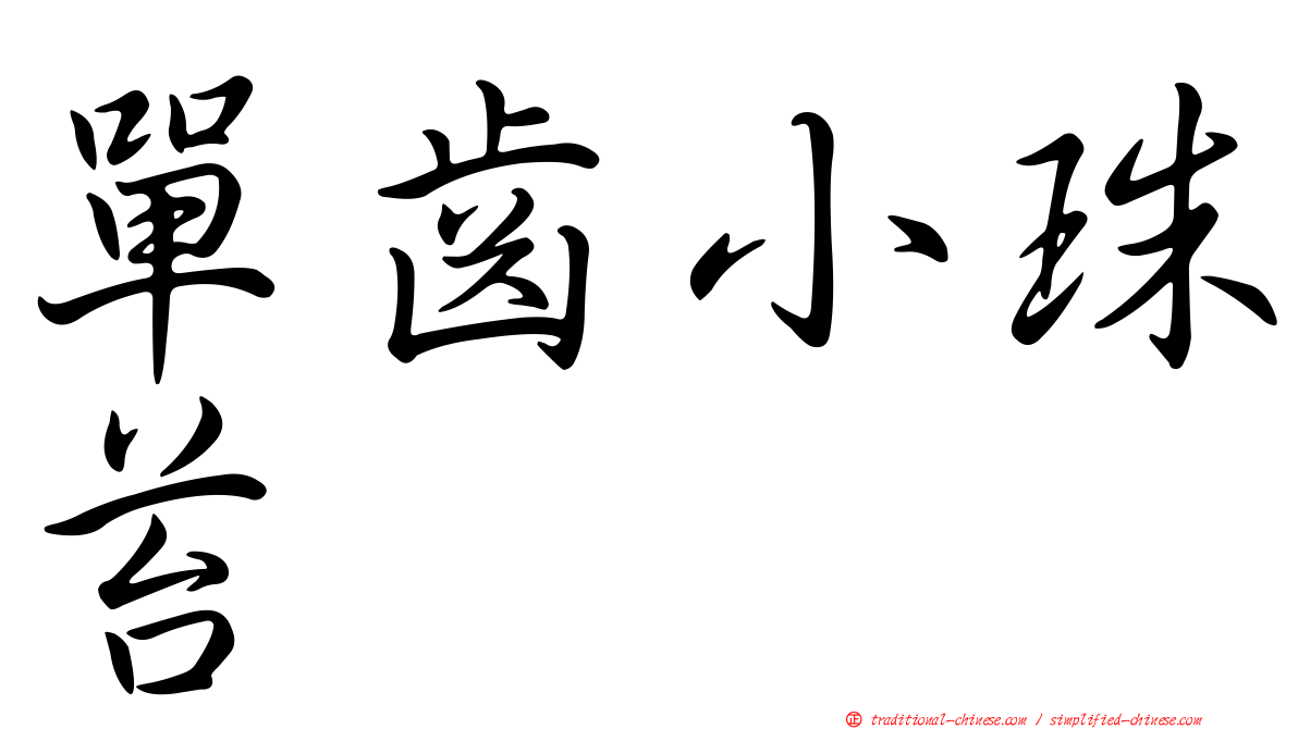 單齒小珠苔