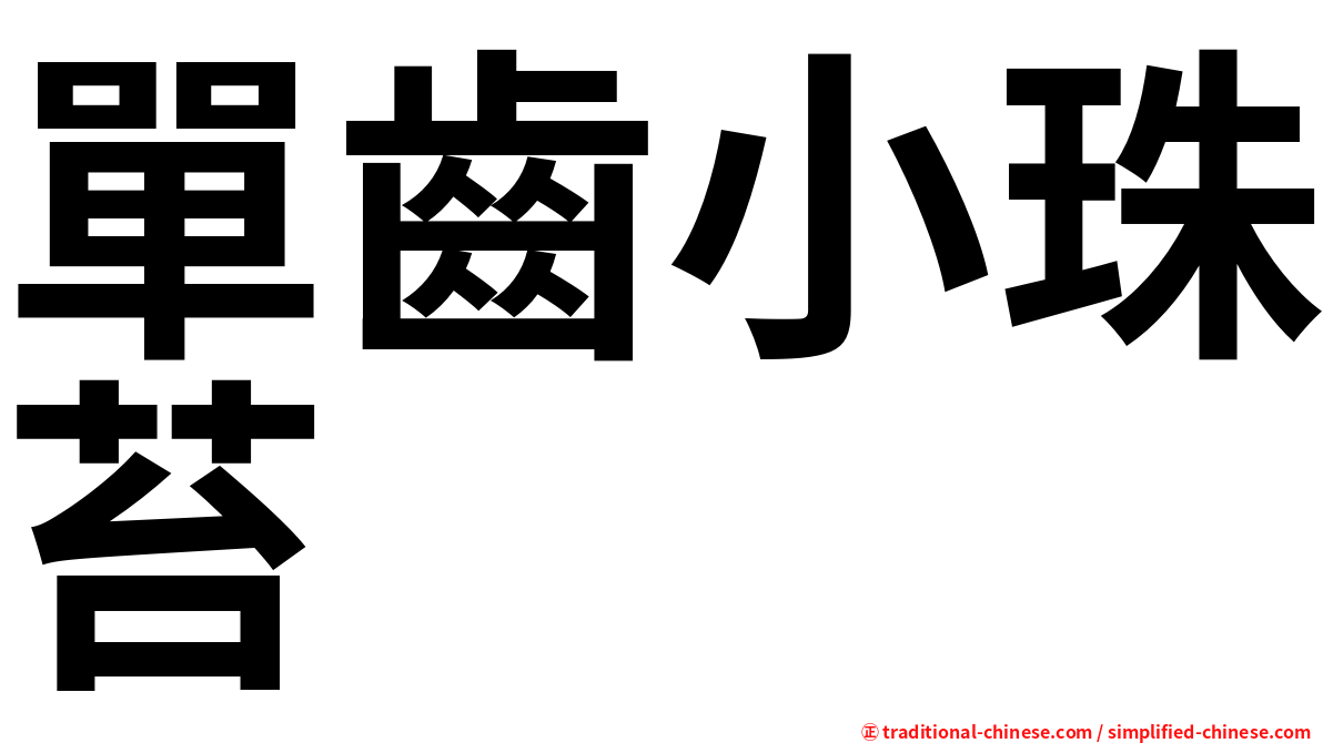單齒小珠苔