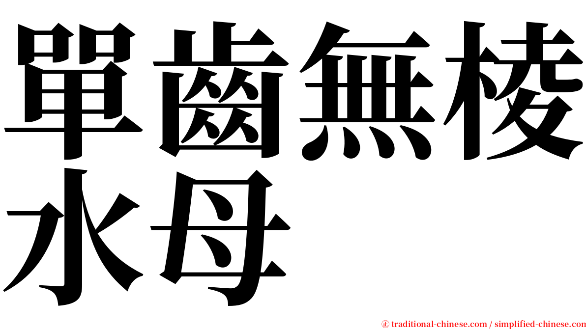 單齒無棱水母 serif font