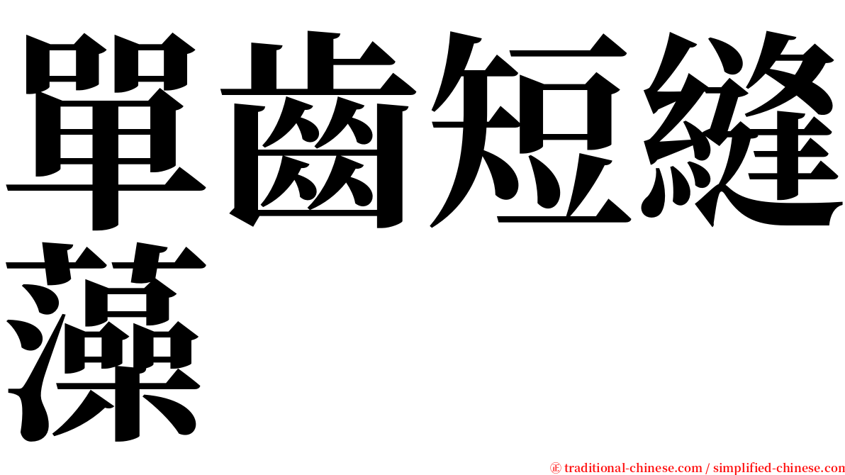 單齒短縫藻 serif font