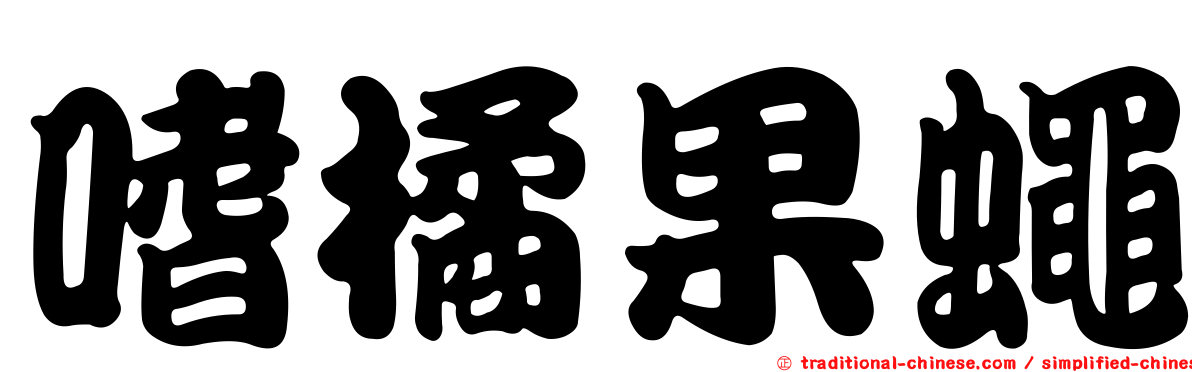 嗜橘果蠅