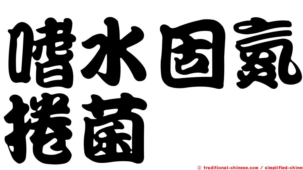 嗜水固氮捲菌
