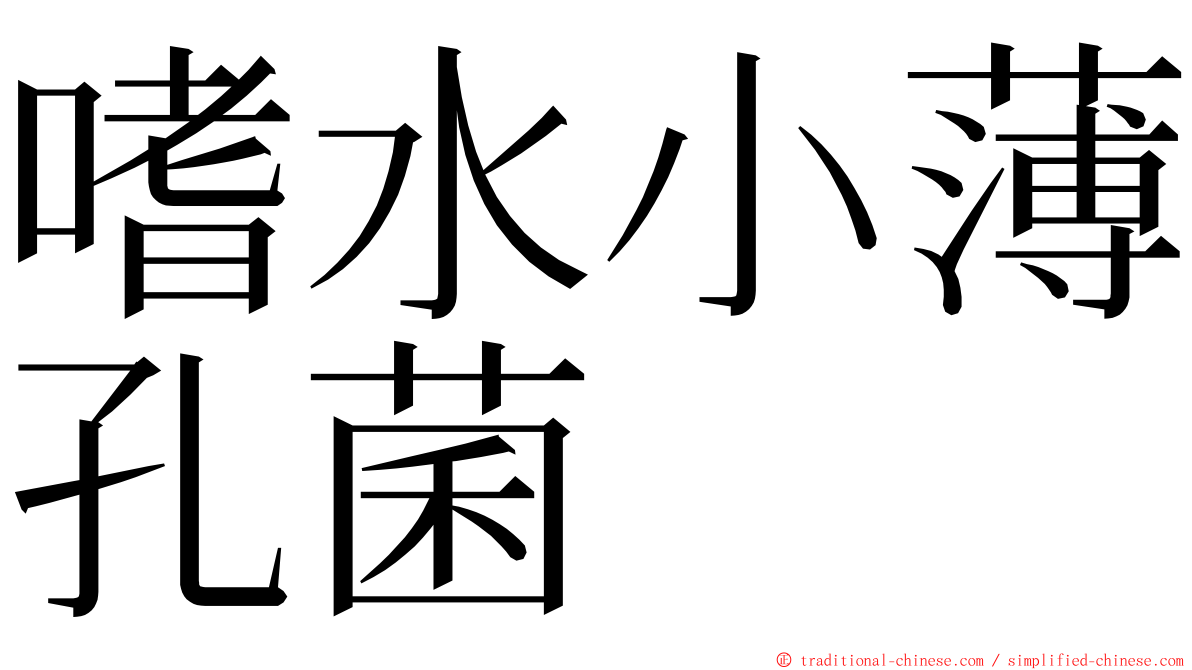 嗜水小薄孔菌 ming font