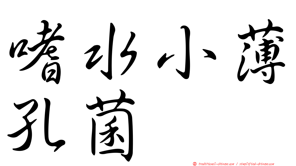 嗜水小薄孔菌