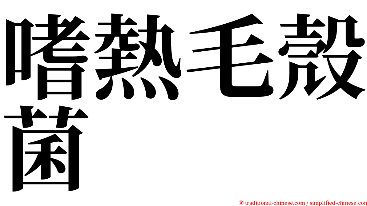嗜熱毛殼菌 serif font