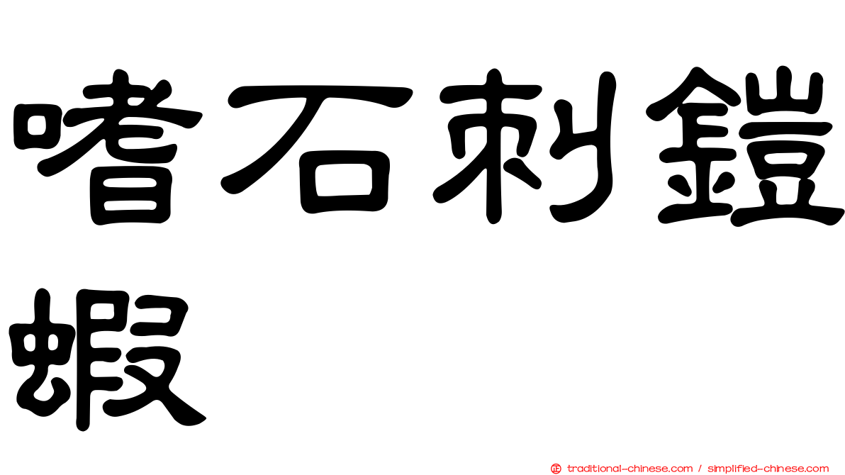 嗜石刺鎧蝦