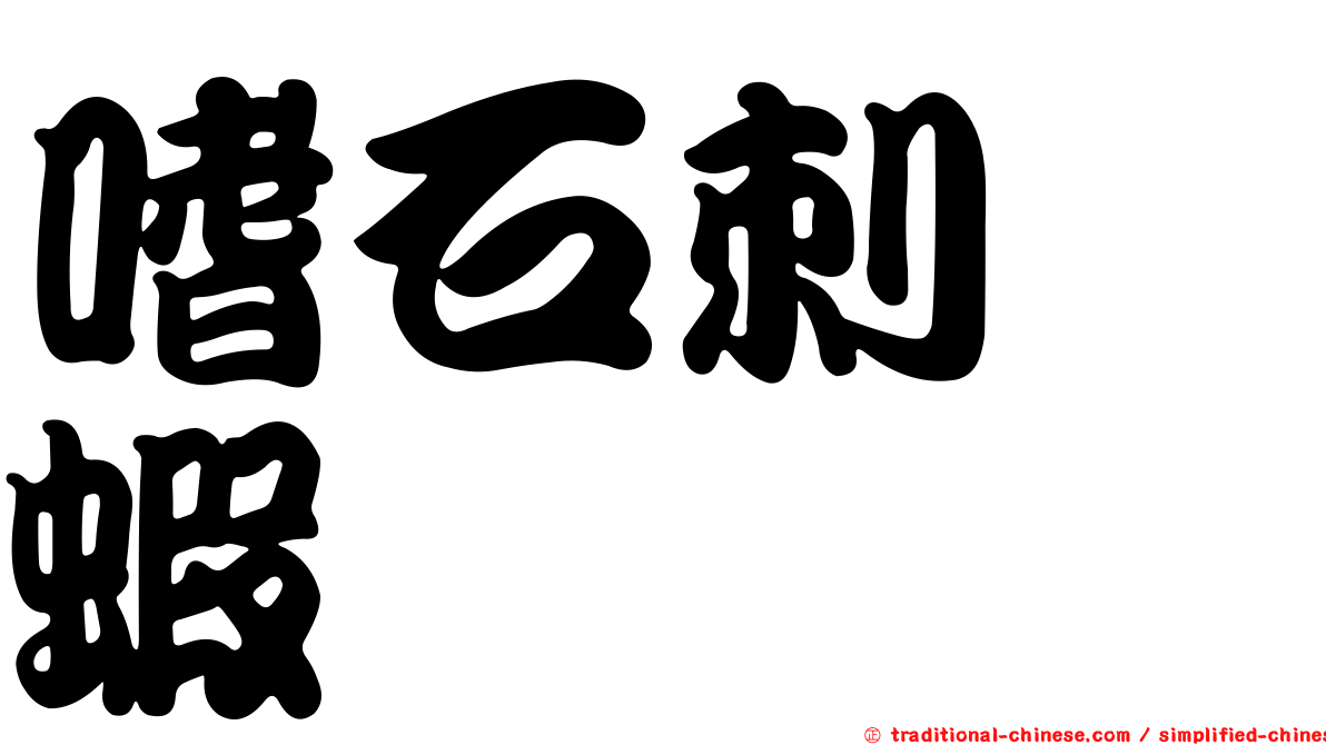 嗜石刺鎧蝦