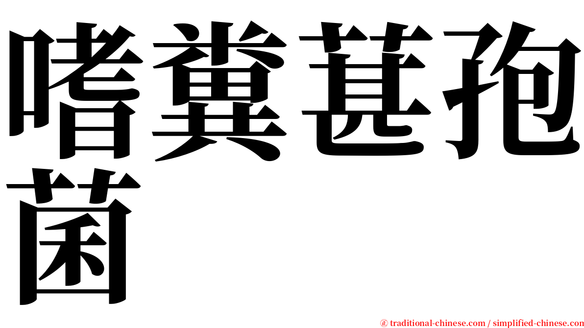嗜糞葚孢菌 serif font