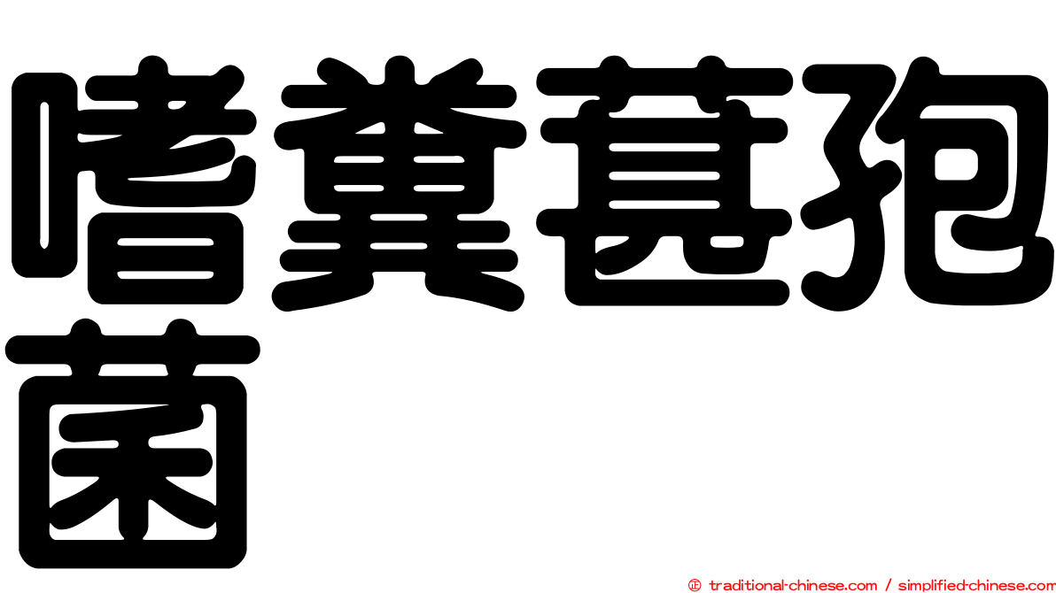 嗜糞葚孢菌