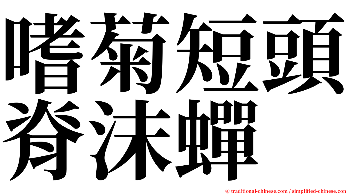 嗜菊短頭脊沫蟬 serif font