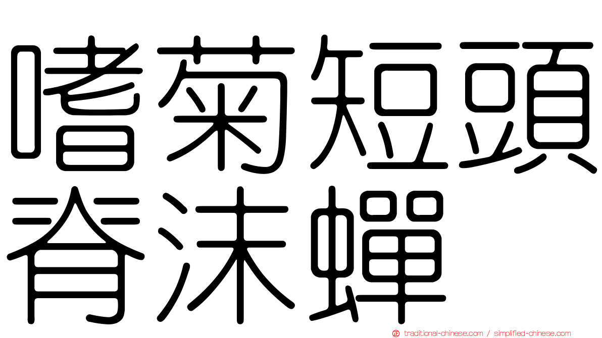 嗜菊短頭脊沫蟬
