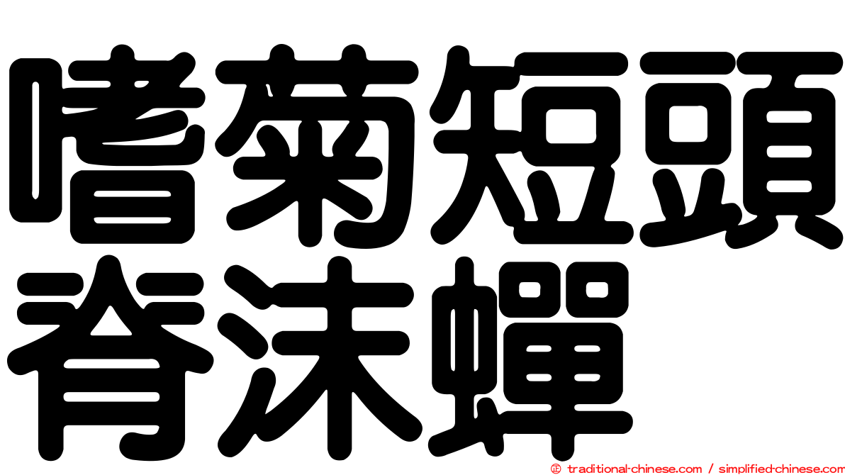嗜菊短頭脊沫蟬
