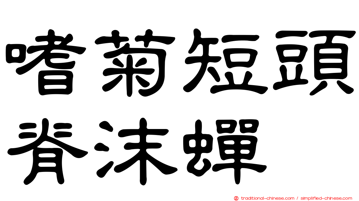 嗜菊短頭脊沫蟬