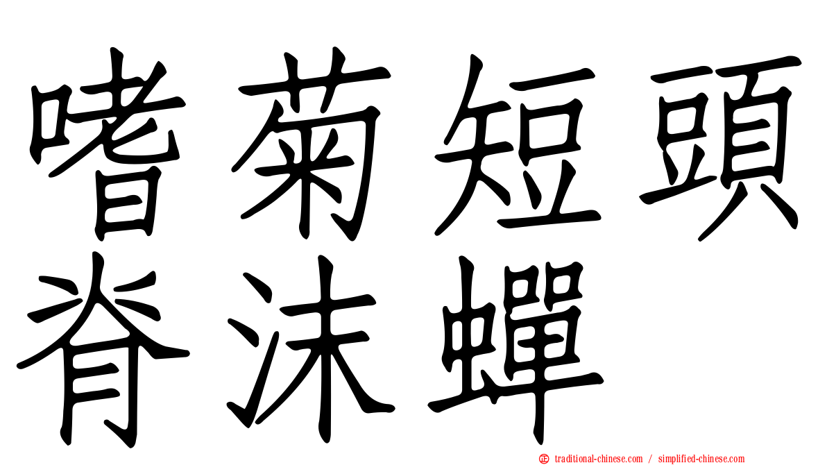 嗜菊短頭脊沫蟬
